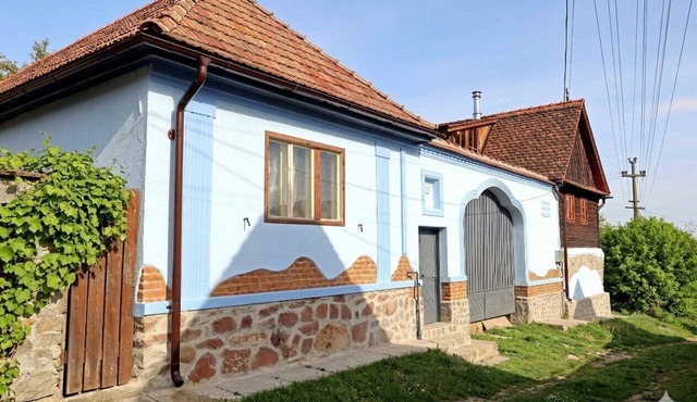 CASA RICO revitalised Carpathian farm in a shepherd's village. Pet-friendly in Vale