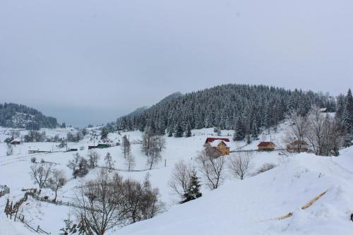 Casa Sisif in Fundata