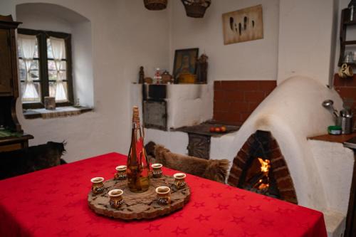 Casa Sub Magrin in Satu Bătrîn