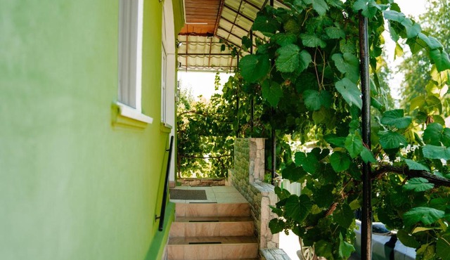 Casa Verde in Vaţa de Jos