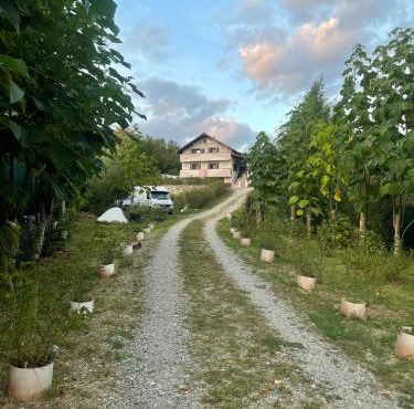 CASUTA MAGICA in Pausesti-Maglasi