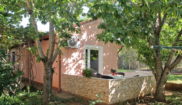 Catarina 1 by Interhome