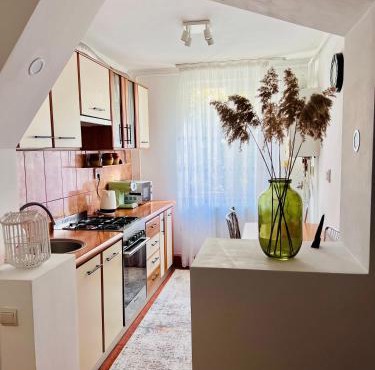Central Apartment in Turnu Măgurele