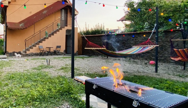 Central Apartment with Garden in Blaj in Blaj