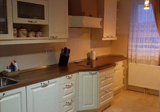Central Luxury Apartment in Pale