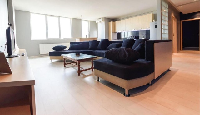 Central Panorama Apartment in Arad