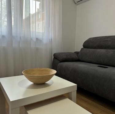 Central Studio in Medias