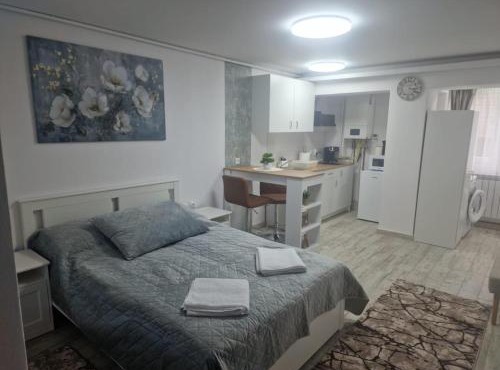 Central Studio in Targu Secuiesc
