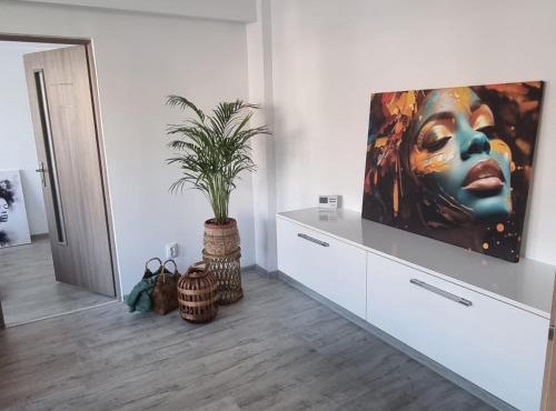 Central View Apartment in Deva