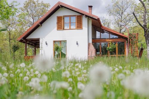 Cerdacul din Livada - Căsuța din Livadă in Vaideeni