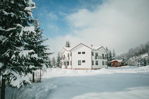Chalet 2B in Cavnic