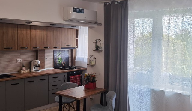 Charming 2-bedroom apartment with AC, WiFi in enchanting Ploiești in Ploiești
