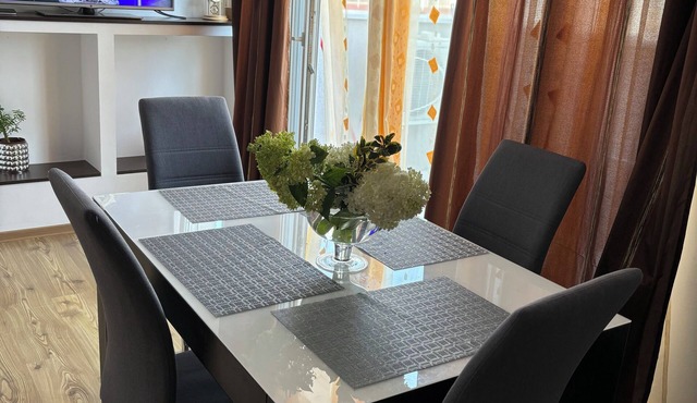 Charming 2-bedroom apartment with AC, WiFi in superb Arad in Arad
