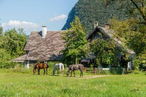 Charming blacksmith`s house @ Lake Bohinj in Studor