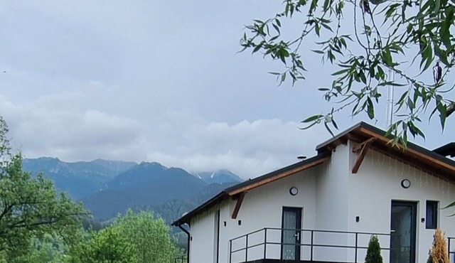 Charming Cabin Bran 1-bedroom cabin in Bran