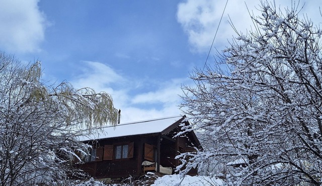 Charming 2-bedroom house with WiFi in Campulung Moldovenesc in Campulung Moldovenesc