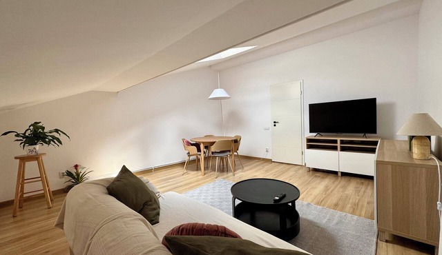 Charming Top-Floor Apartment in Central Cluj Cozy & Newly Refurbished in Cluj-Napoca