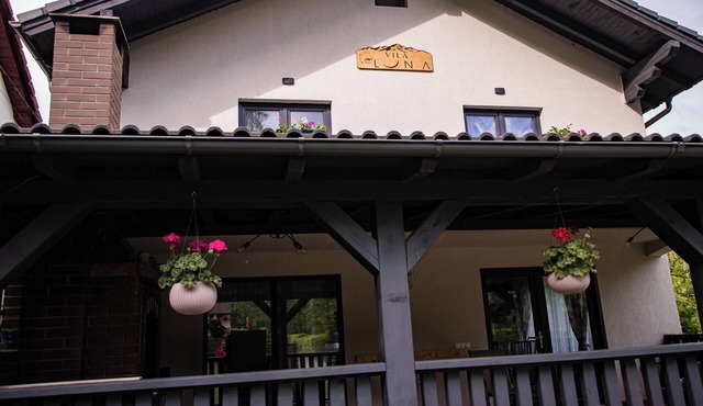 Chic Retreat in the Carpathians – Private Villa with Spa & Grill in Avrig