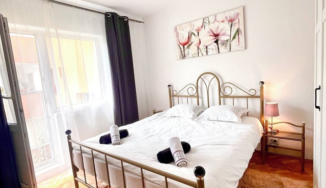 City centre apartment!Spacious,peaceful,pet friendly,close to attractions. in Cluj-Napoca
