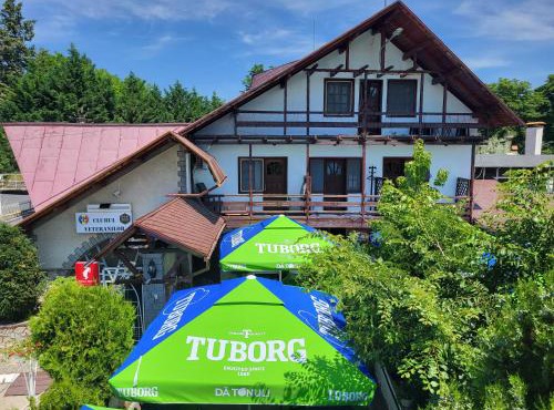 Clubul Veteranilor in Viforîta