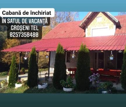 Colț de munte in Archis
