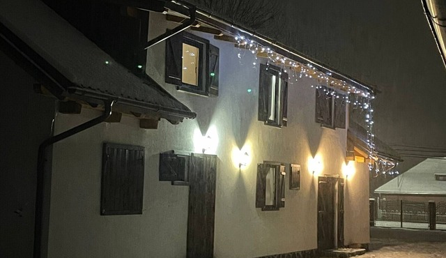Comfy Nature retreat in the Carpathian Mountains - Edelweiss Cabin in Borșa