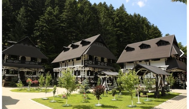 Complex Lions Bucovina in Gura Humorului