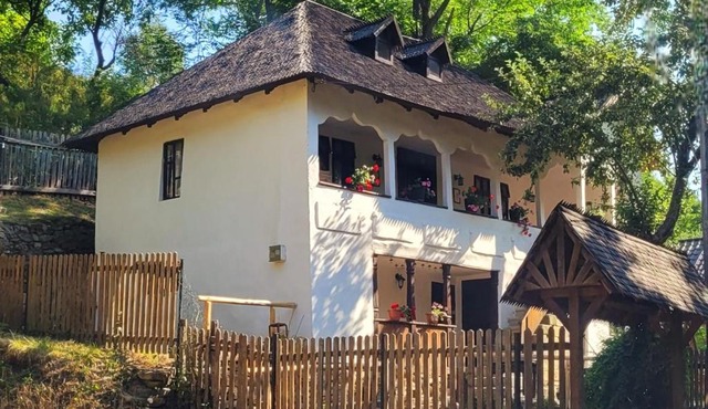 Conacul Copilăriei in Braesti