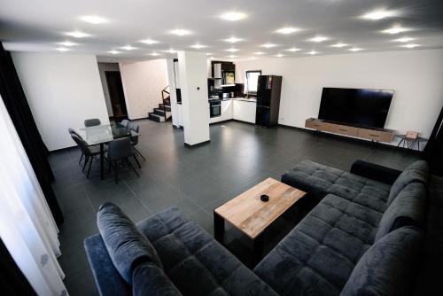 Concept Villa in Livezeni