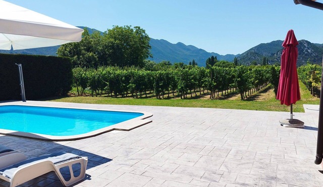 Cosy apartment for 8 guests with WIFI, A/C, private pool, TV and terrace in Stinjevac