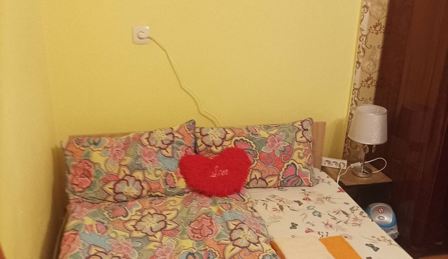 Cosy One Bedroom Appartment with Beautiful Garden in Cluj-Napoca