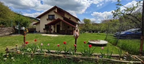 Cottage in traditional village Bradulet, Arges county in Bradulet