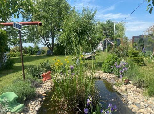 Country refuge Noreea in Săcălaz