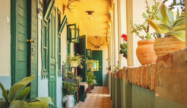 Cozy 3-bedroom farmhouse surrounded by a vibrant garden full of plants.