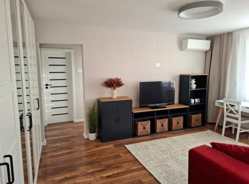 Cozy Central Apartment in Sfantu Gheorghe