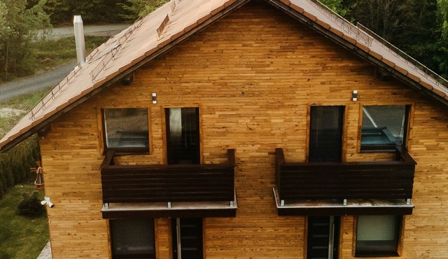 Cozy chalet in Maramureș in the middle of nature with everything equipped in Baia Sprie