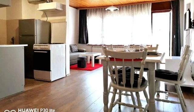 Cozy completely renovated 1bdr flat in Dubec