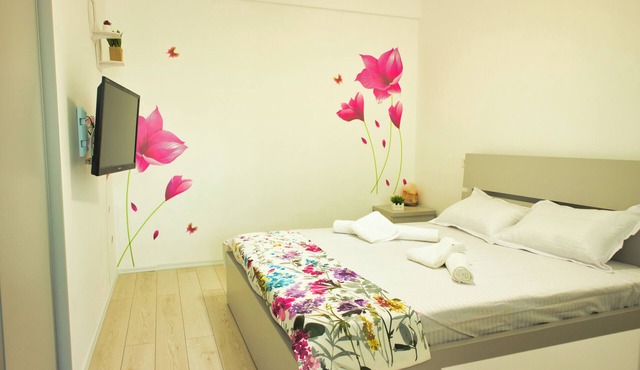 Cozy Flowers Studio Near Coresi Mall in Brașov