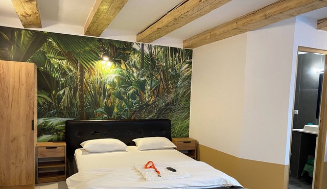 Cozy luxurios central Studios Free Wifi Free Parking in Craiova