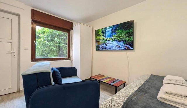 Cozy Room in an Old House with AC