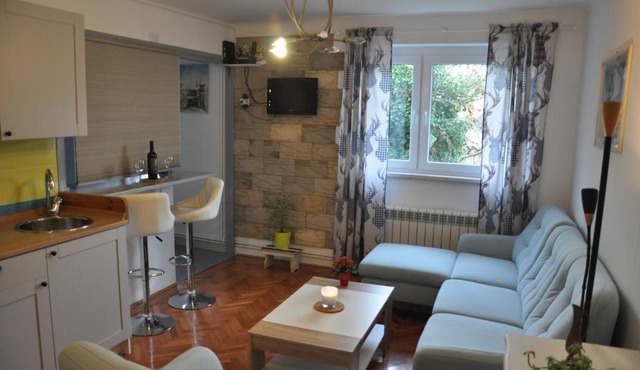 Cozy silver studio apartment