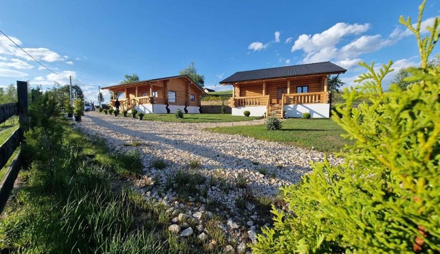 Cozy Vega Chalet with two bedroom in Holbav,Brasov in Holbav