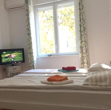 Cricket Park Hostel in Belgrade