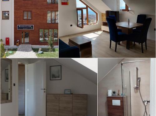 Ctrl Alt Del Apartment S76 in Kopaonik