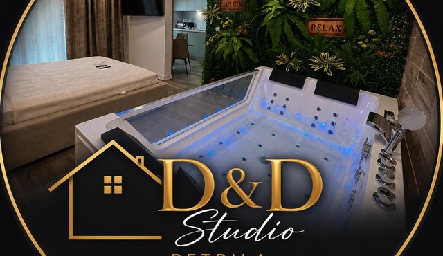 D&D Studio in Petrila