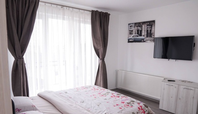 Daniel's Central Apartments in Sibiu