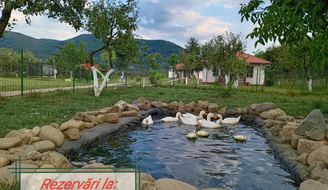 Desculti prin iarba- la 6,6 km de centrul Piatra Neamt in Viisoara