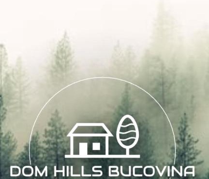 DOM HILLS Bucovina in Gura Humorului