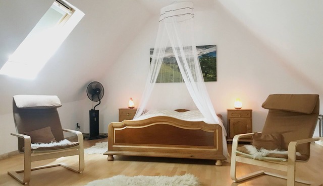 Double Room in Richiș
