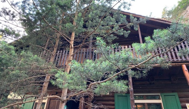 ECOLOG ALPINE LODGE in Bicazul-Chei